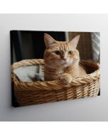 Canvas on Wooden Frame (Fixed Size)