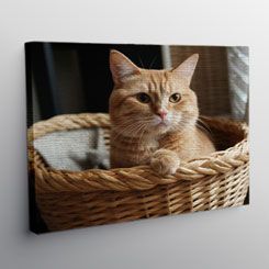 Canvas on Wooden Frame (Fixed Size)